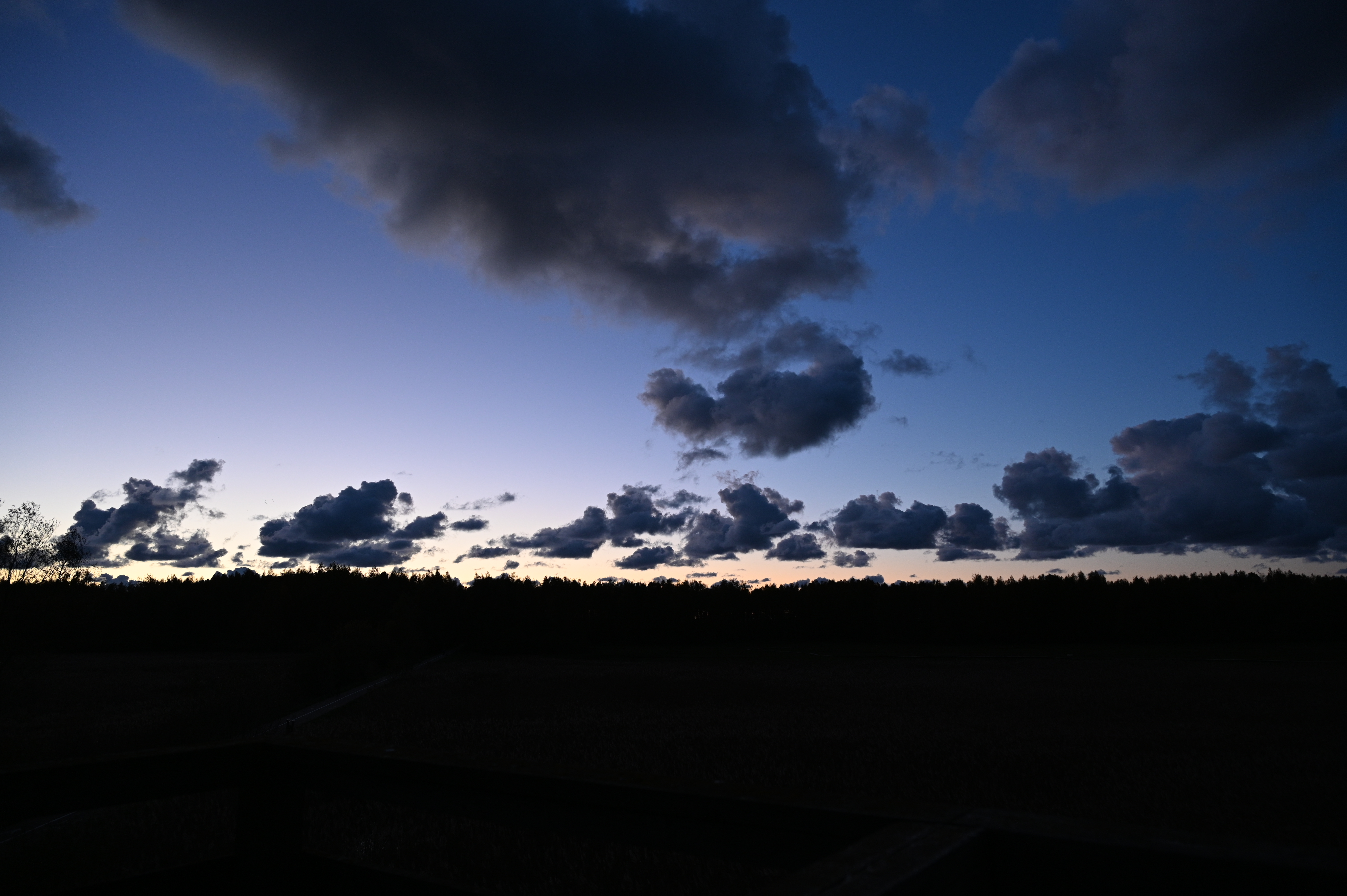 2025/10/18 - walk/DSC_0622.JPG